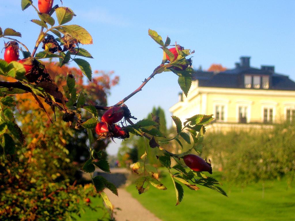 Faerna Herrgard & Spa Exterior photo